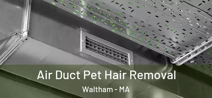  Air Duct Pet Hair Removal Waltham - MA