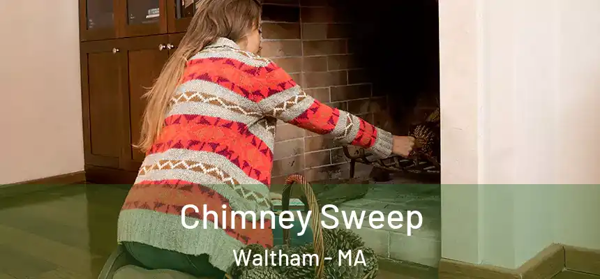 Chimney Sweep Waltham - MA