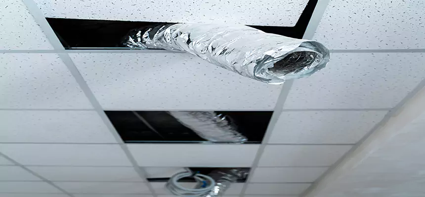 Affordable HVAC Sanitizing After Pest Removal in Waltham