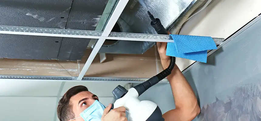 Our Air Duct Rodent Removal Services in Waltham, MA