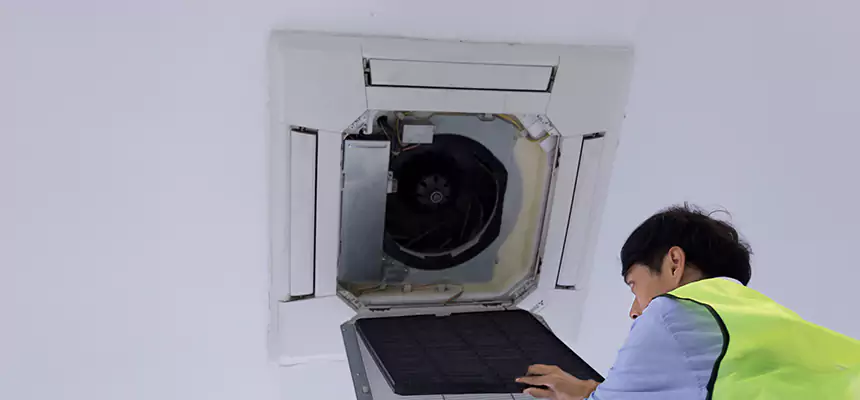 Our Dryer Vent Sanitization Service Services in Waltham, MA
