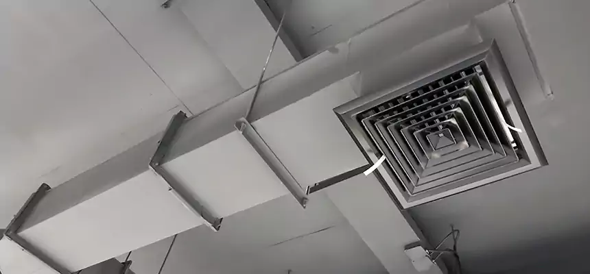 Our Rodent Droppings In Vents Services in Waltham, MA