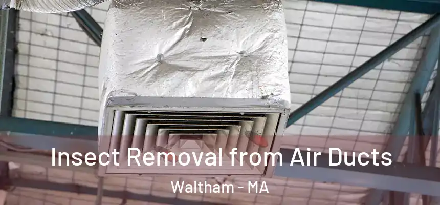  Insect Removal from Air Ducts Waltham - MA