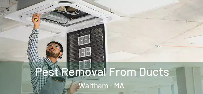  Pest Removal From Ducts Waltham - MA