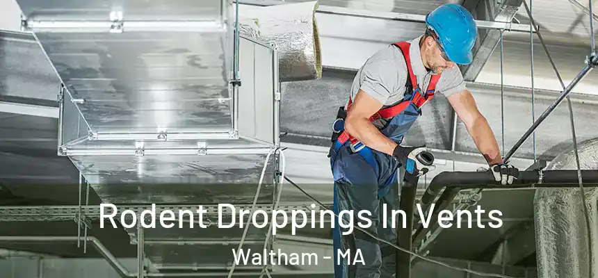  Rodent Droppings In Vents Waltham - MA
