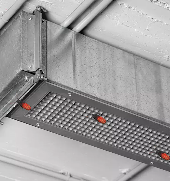 Affordable Insect Removal from Air Ducts in Waltham, MA
