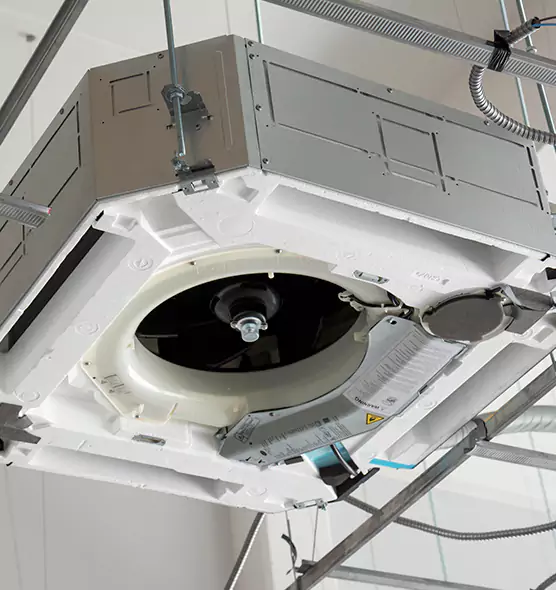 Professional Roof Vent Lint Removal Waltham, MA