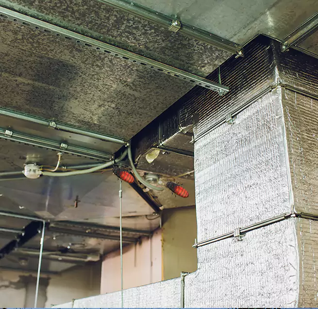 Why Homeowners & Businesses Trust Us in Waltham, MA?